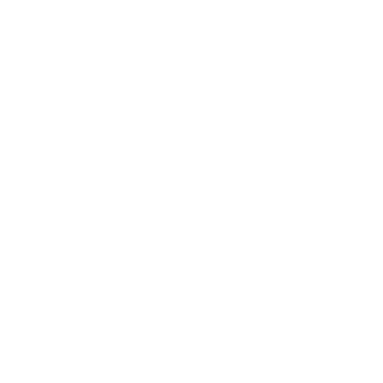 Left Icon
